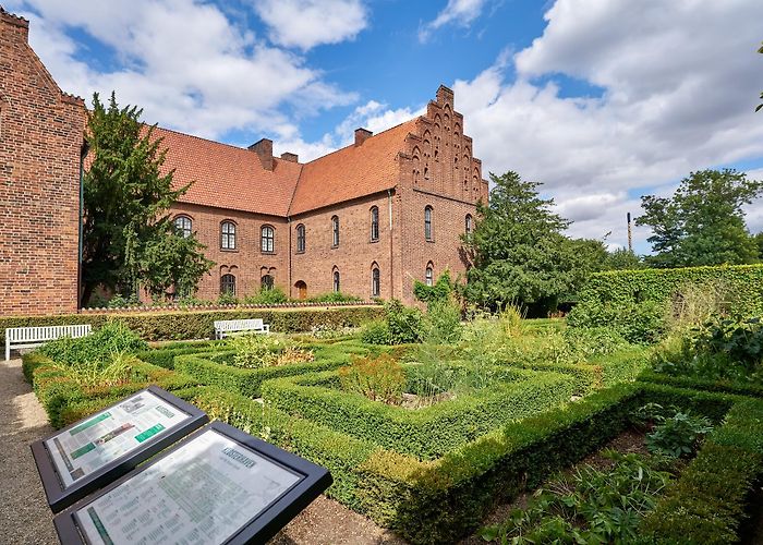 Odense photo