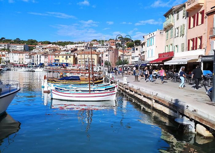 Cassis photo