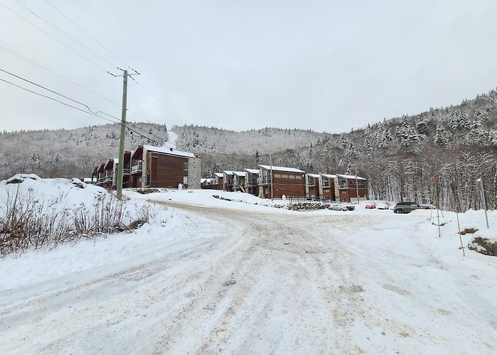 Stoneham photo