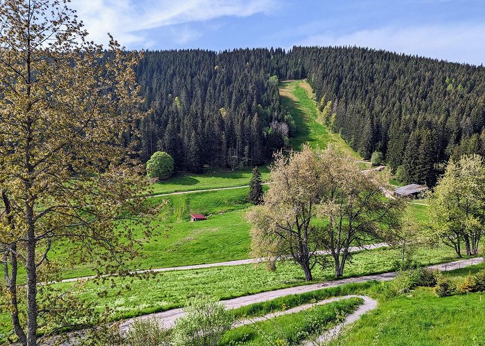 Feldberg (Baden-Wurttemberg) photo