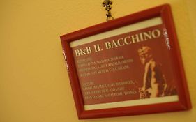B&B Il Bacchino 普拉托 Exterior photo