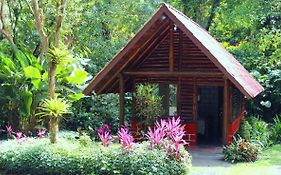 阿雷纳绿洲野生动物保护区及生态旅舍 La Fortuna Exterior photo