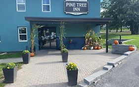 Pine Tree Inn 班戈 Exterior photo