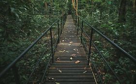 Khao Sok National Park 考索树屋度假村酒店 Exterior photo