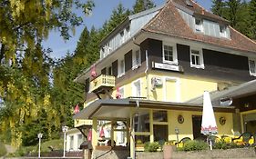 Gasthaus Hotel Loeffelschmiede 费尔德伯格 Exterior photo