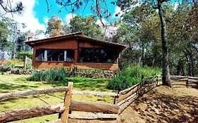 Acaxochitlán Cabana En Medio Del Bosque Za酒店 Exterior photo