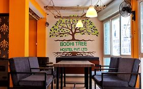 Bodhi Tree Hostel 加德满都 Exterior photo