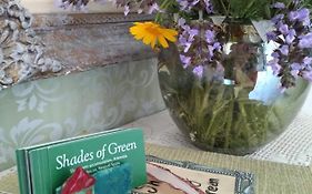 Shades Of Green 阿特米达 Exterior photo