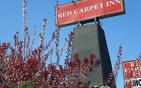 红地毯布如克劳恩酒店 布鲁克劳恩 Exterior photo