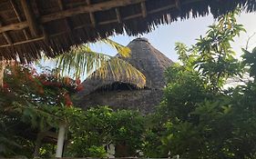 Pasa Lodge Zanzibar 南威 Exterior photo