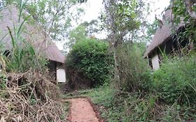 Kibale Forest Cottages And Campsite Fort Portal Exterior photo