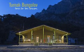 Turnali Bungalow Kirankoy Exterior photo