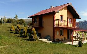 Holiday Home Zavicaj 普卢日内 Exterior photo