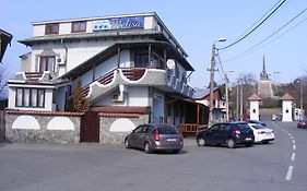 图尔恰 Pensiunea Melisa酒店 Exterior photo