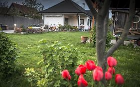 Dunajská StredaBig Garden House别墅 Exterior photo