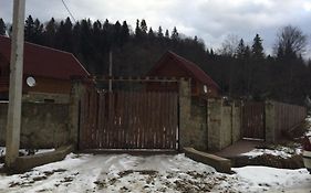 Guest House In Carpathians 米戈韦 Exterior photo