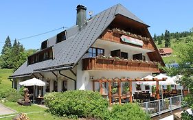 Hotel & Restaurant Gruener Baum - Die Gruene Oase Am Feldberg 费尔德伯格 Exterior photo