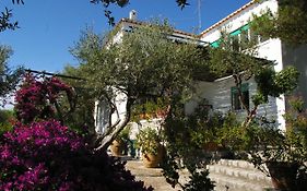 Il Rifugio B&B Capri 阿纳卡普里 Exterior photo