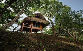 Eco Venao Lodge, 普拉纳维瑙 Exterior photo