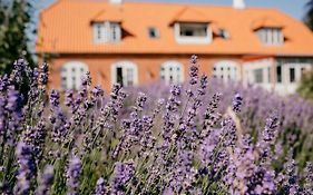 荣主教区长住宿加早餐旅馆 Præstø Exterior photo