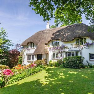 Forest Drove Cottage - Idyllic New Forest 6 Bedroom Thatched Cottage 灵伍德 Exterior photo