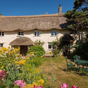 Higher Collaton Cottage Malborough Exterior photo