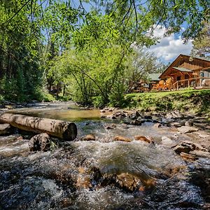 常青城Colorado Bear Creek Cabins别墅 Exterior photo