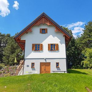 GlasingFerienhaus Im Suedburgenland别墅 Exterior photo