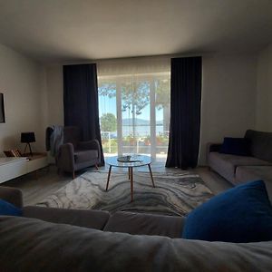Fenix Apartment & Rooms Vinci Exterior photo
