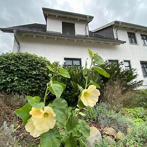 Ferienwohnung Auf Rugen Mit Boddenblick Groß Zicker Exterior photo