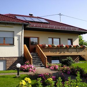 Cosy Apartment In Neustra Burg Balesfeld Exterior photo