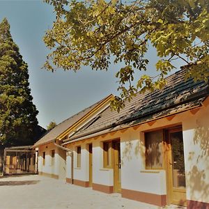 塔塔Mamutfenyo Panzio住宿加早餐旅馆 Exterior photo