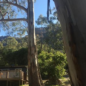 霍尔斯加普Grampians Nest别墅 Exterior photo