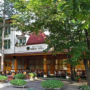 卡赞勒克 Хотел Златна Котва酒店 Exterior photo