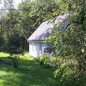 Zielony Domek Wisloczek Rymanów Exterior photo