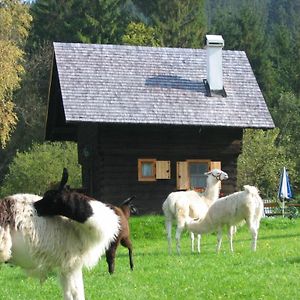 Hutte Zum Verlieben 古尔克 Exterior photo