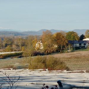 Les Deux Flamands Et Filous Cazals-des-Bayles Exterior photo