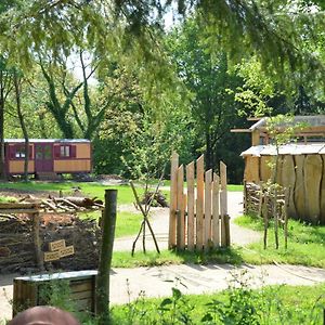 La Pommeraie-sur-SèvreLe Camp Du Fauconnier住宿加早餐旅馆 Exterior photo