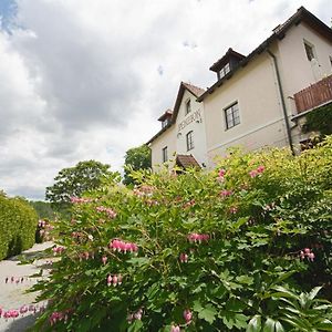 奥尼克斯酒店 Český Krumlov Exterior photo