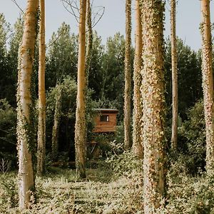 AngucianaBonita Cabana De Los Arboles En La Rioja , Durmiendo Entre Arboles公寓 Exterior photo