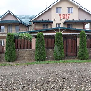 Piatra Neamţ Pensiunea Alessia酒店 Exterior photo