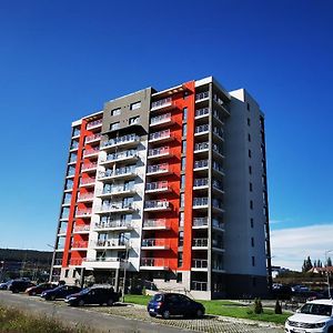 Studio Green Târgu-Mureş Exterior photo