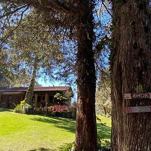 São Francisco de PaulaChale Sitio Olhos D'Agua别墅 Exterior photo