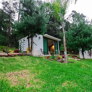 Romanticas Cabanas En Bosque Acaxochitlán Exterior photo