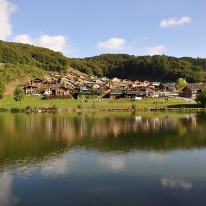 Rieden Eifel & See - Ferienhaeuser Am Waldsee Rieden/Eifel别墅 Exterior photo