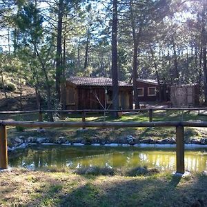 Cabana En Pleno Parque Natural Del Rio Mundo Riópar Exterior photo