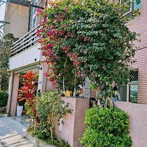 Chu Han C&C B&B Homestay 麻豆 Exterior photo