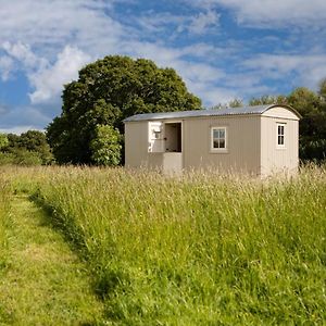 Southwick Romantic Secluded Shepherd Hut Hares Rest别墅 Exterior photo