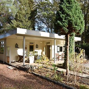 WaterenA Detached Bungalow With Outdoor Fireplace Covered Terrace And Pond In A Forest Plot别墅 Exterior photo