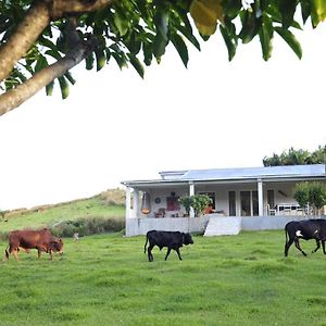 Rodrigues IslandLetan Lontan别墅 Exterior photo